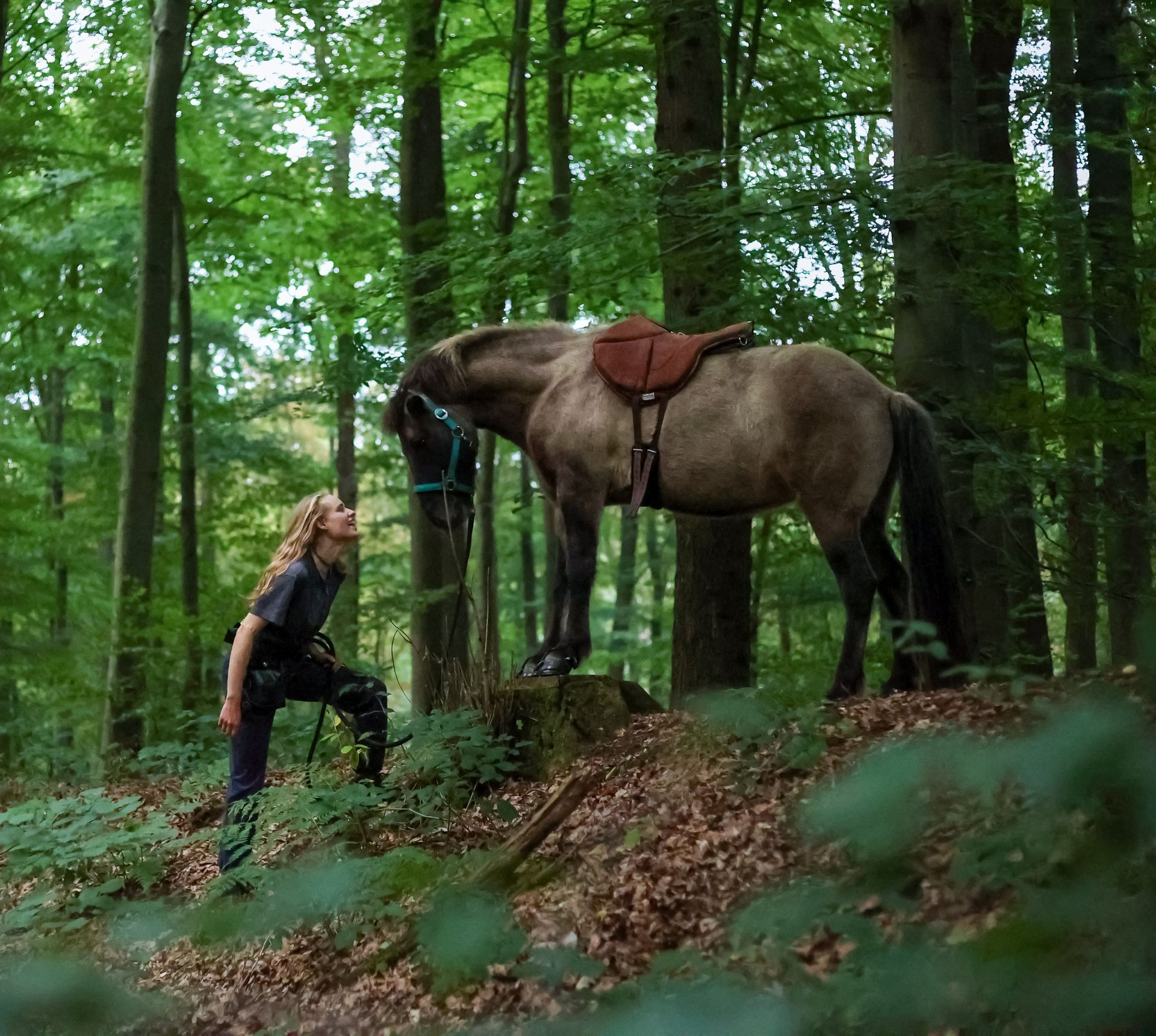 Gentle interaction with a horse